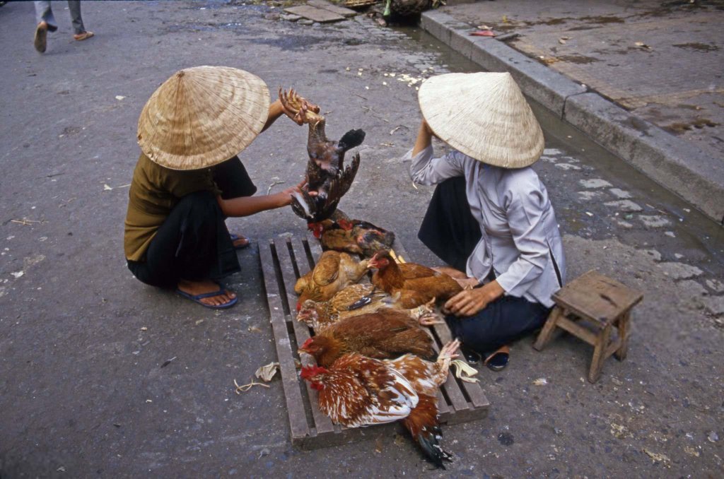 Việt Nam 1987 (26).jpg