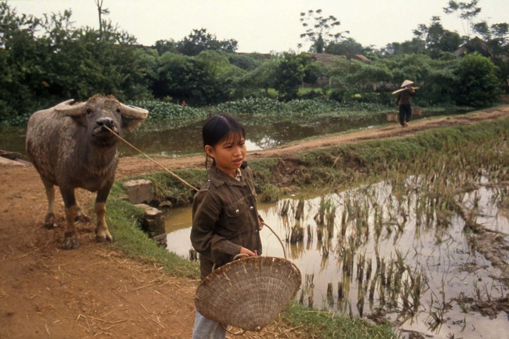 Việt Nam 1987 (43).jpg