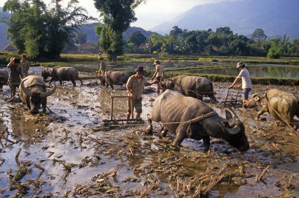 Việt Nam 1987 (45).jpg