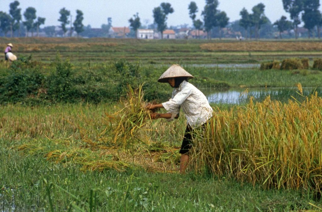 Việt Nam 1987 (58).jpg