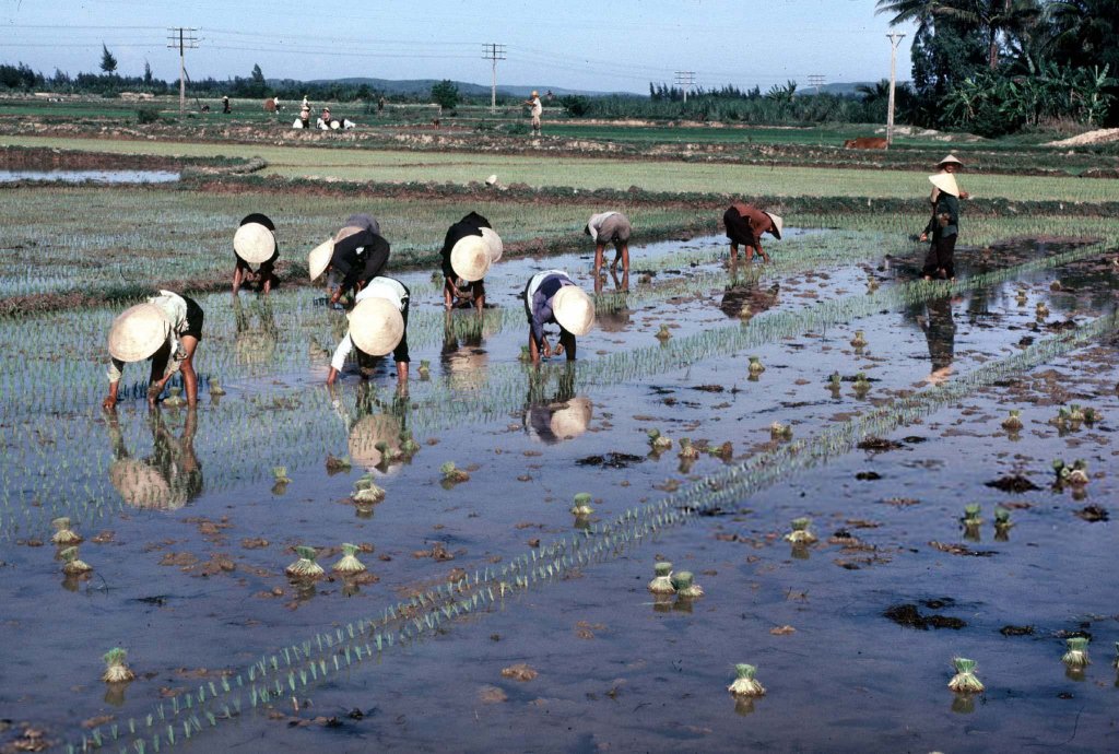 Việt Nam 1989 (86).jpg