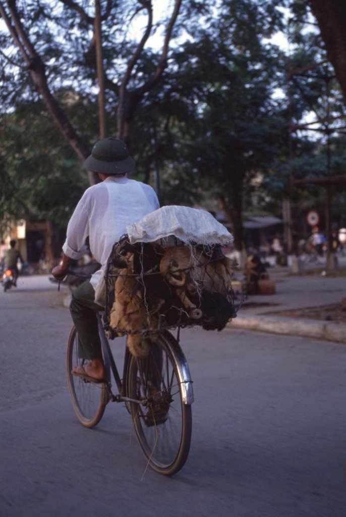 Việt Nam 1992 (3_3).jpg