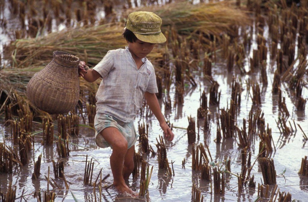 Việt Nam 1992 (3_24).jpg