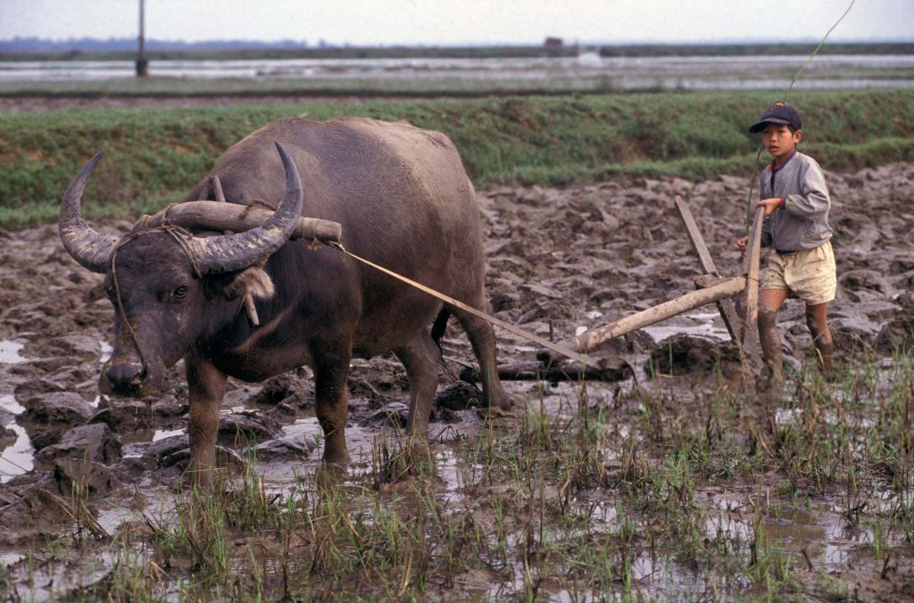 Việt Nam 1992 (3_32).jpg