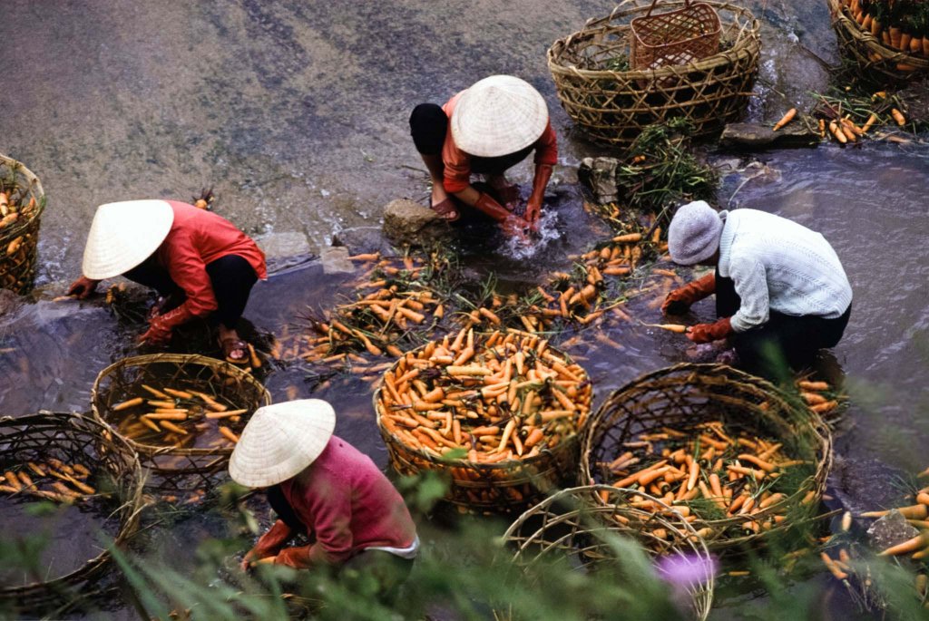 Việt Nam 1992 (3_50).jpg