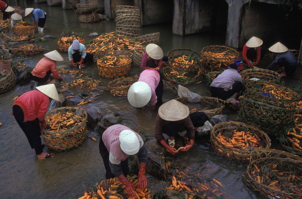 Việt Nam 1992 (3_51).jpg