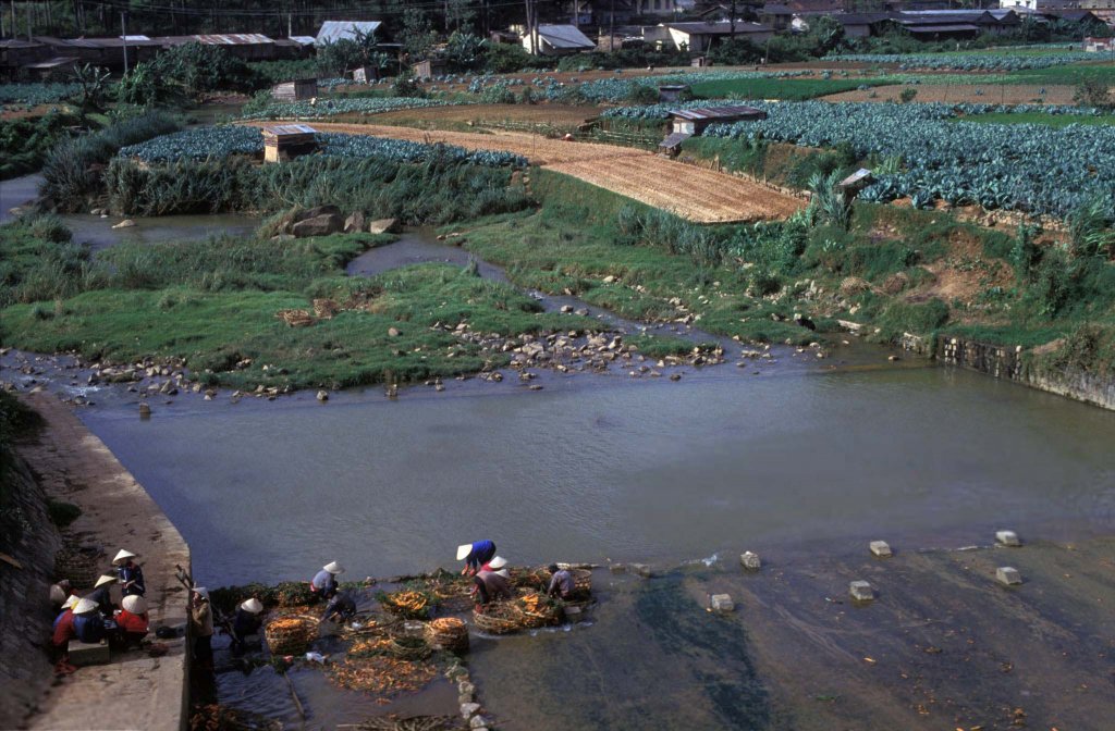 Việt Nam 1992 (3_52).jpg