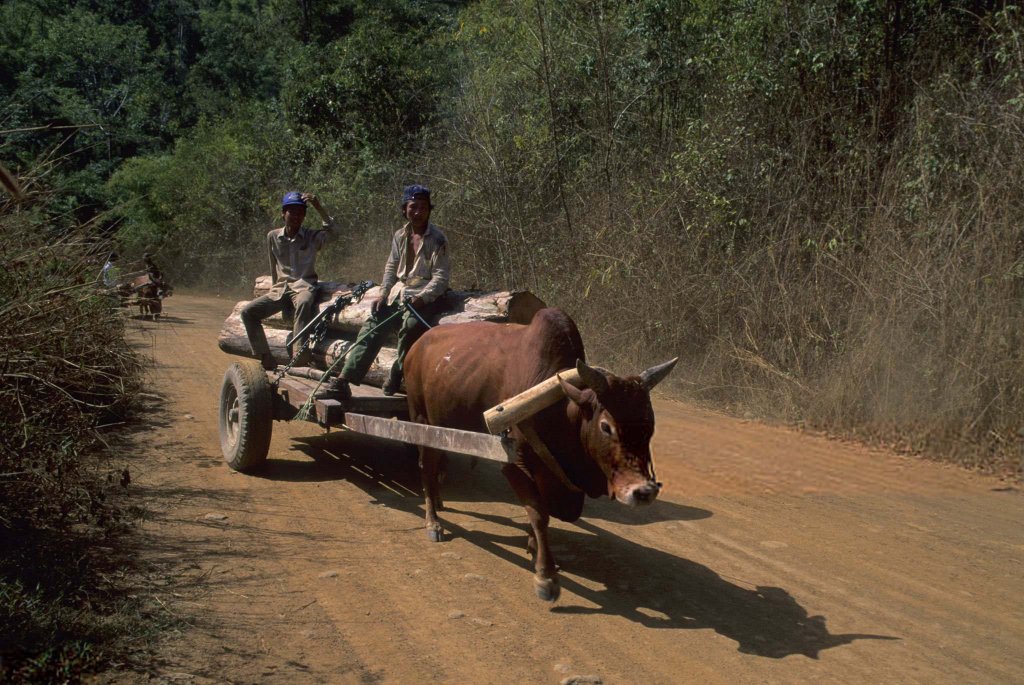 Việt Nam 1992 (24).jpg