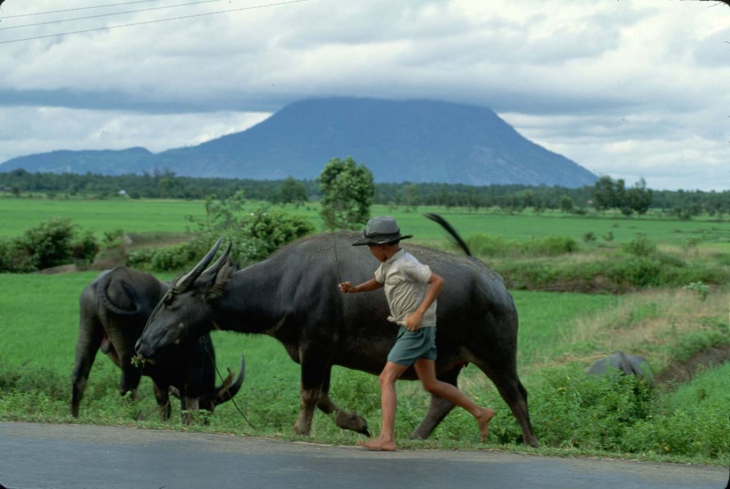 Việt Nam 1993 (4).jpg