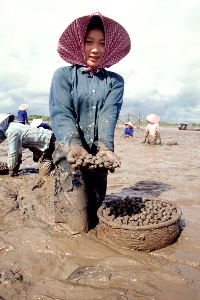 Việt Nam 2003_8 (7).jpg