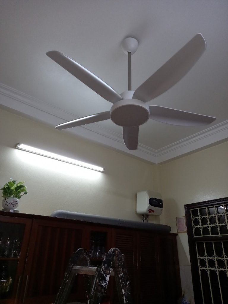 4B52FDAF-5D9A-4DAB-9875-CAA0B69094B5.jpeg