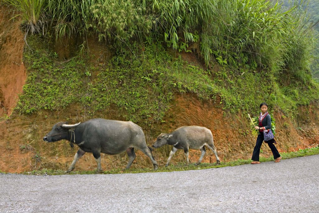 Việt Nam 2007_10_9 (23) .jpg