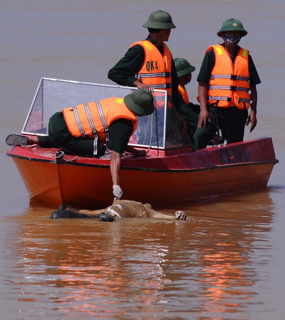 Việt Nam 2010_10_21 (11).jpg