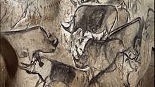 220px-Rhinos_Chauvet_Cave-France-30kBC.jpg