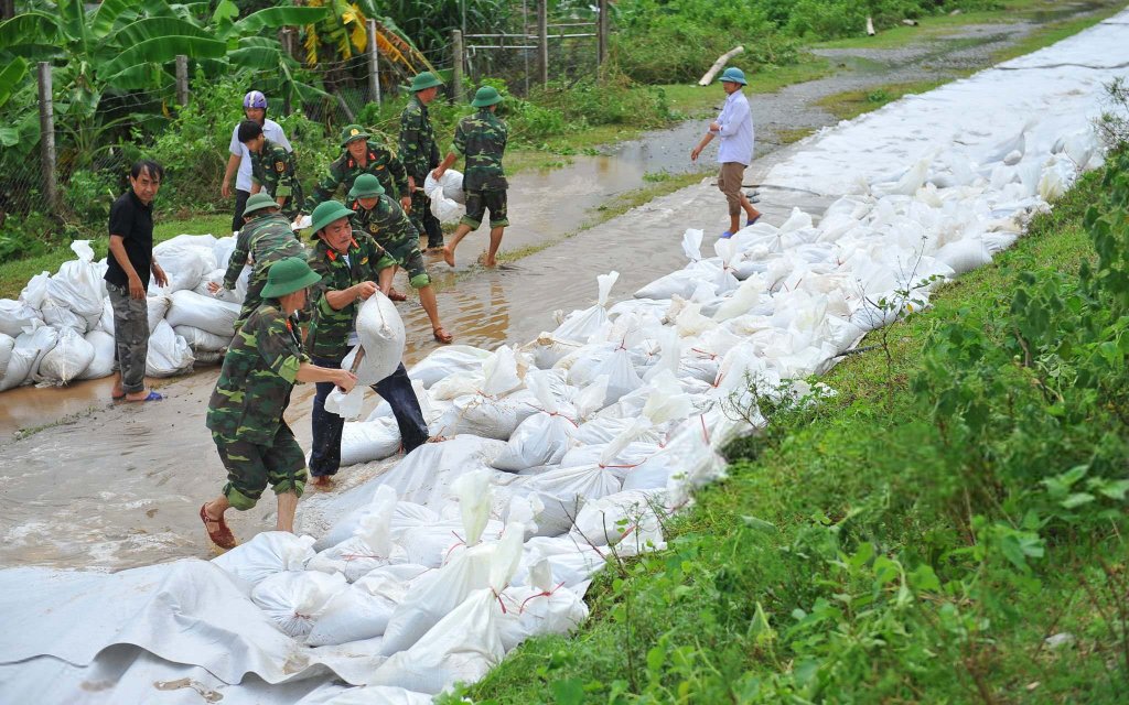 Việt Nam 2017_10_12 (7).jpg