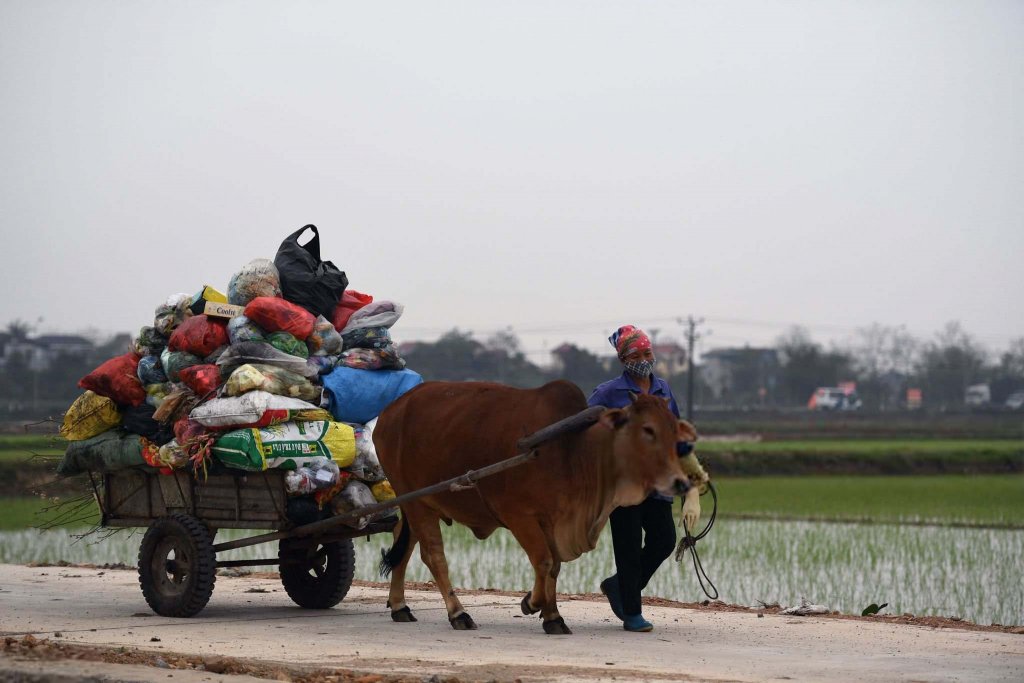 Việt Nam 2021_2_25 (1).jpg