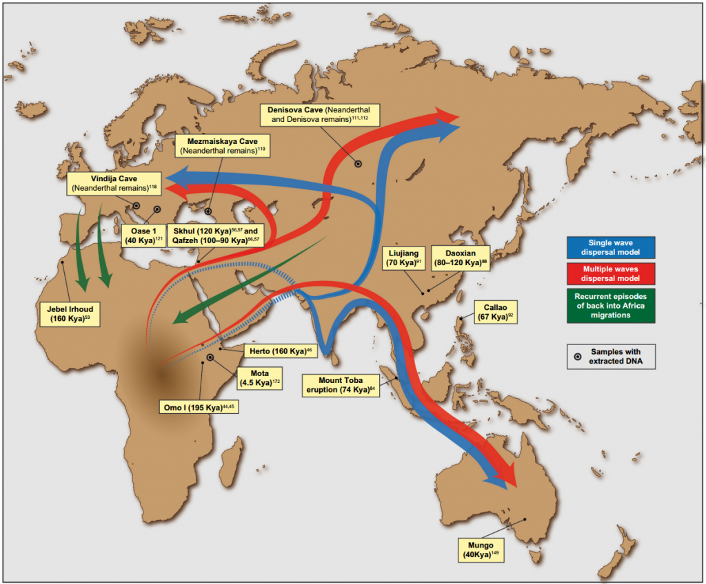 Putative_migration_waves_out_of_Africa.png