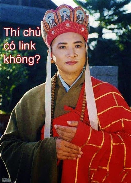 xin-link.jpg