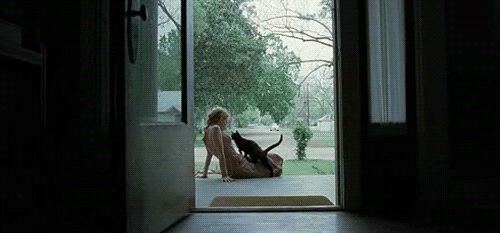 d0813dd8-99cc-4e57-853b-338edd7334e3.gif