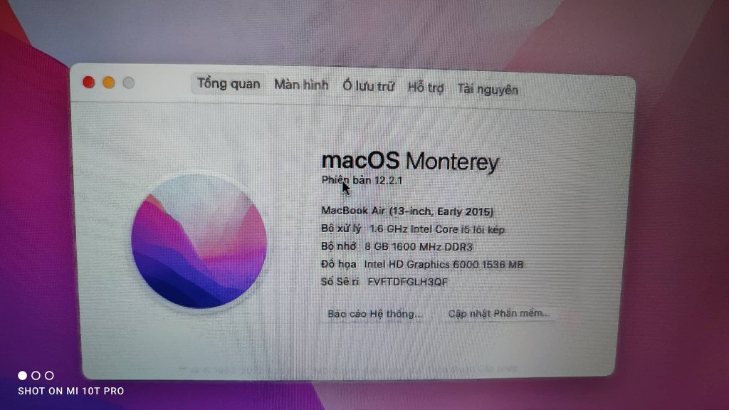 282310522_1033577967279631_4565240369452761236_n.jpg