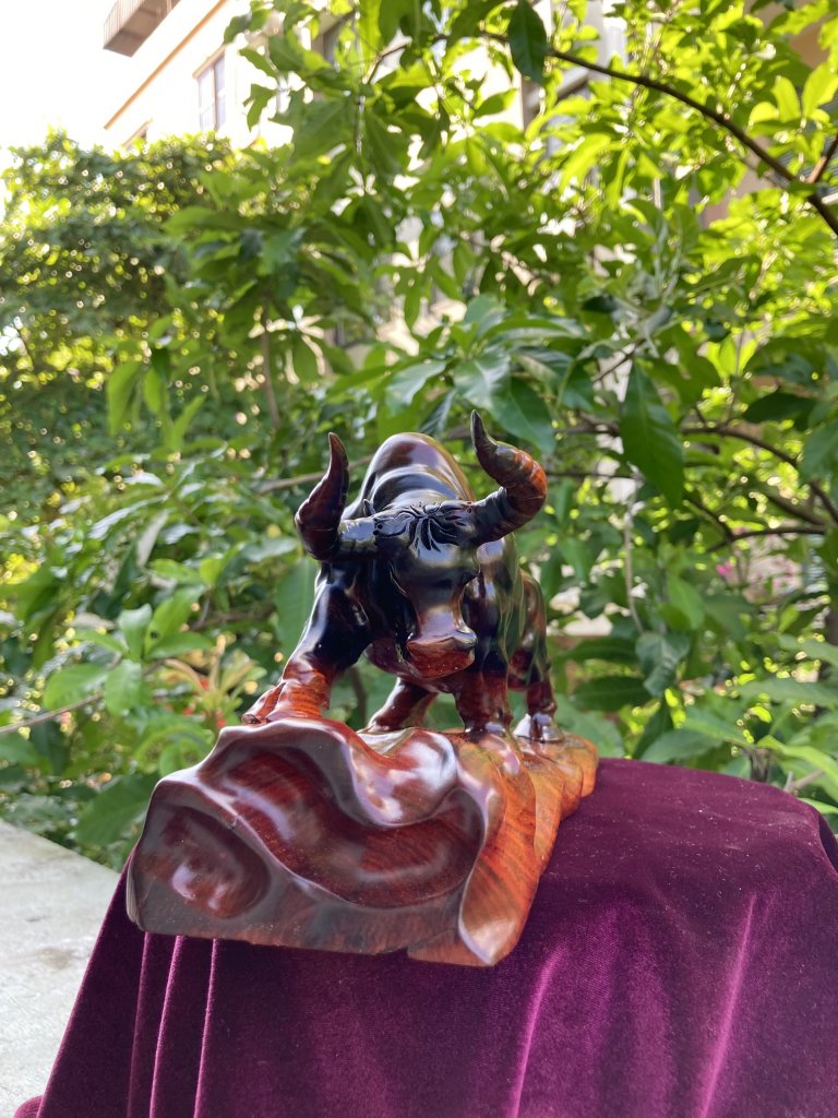 z3519394904471_6ac9236c6b852ba16742d8c6887d45f4.jpg