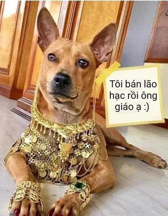 Tôi bán lão Hạc rồi ông giáo ạ.jpeg