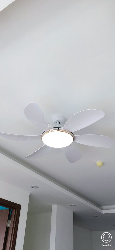 f860e61edb9919c74088.jpg