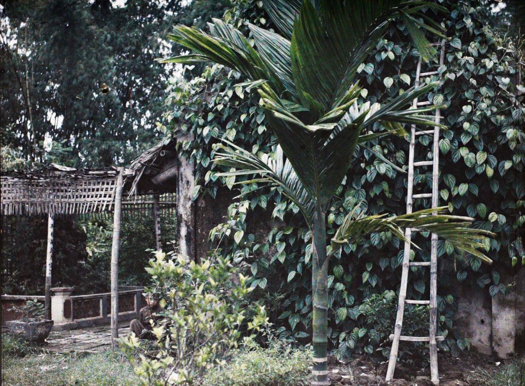 Việt Nam 1914-1917 Léon Busy (101).jpg