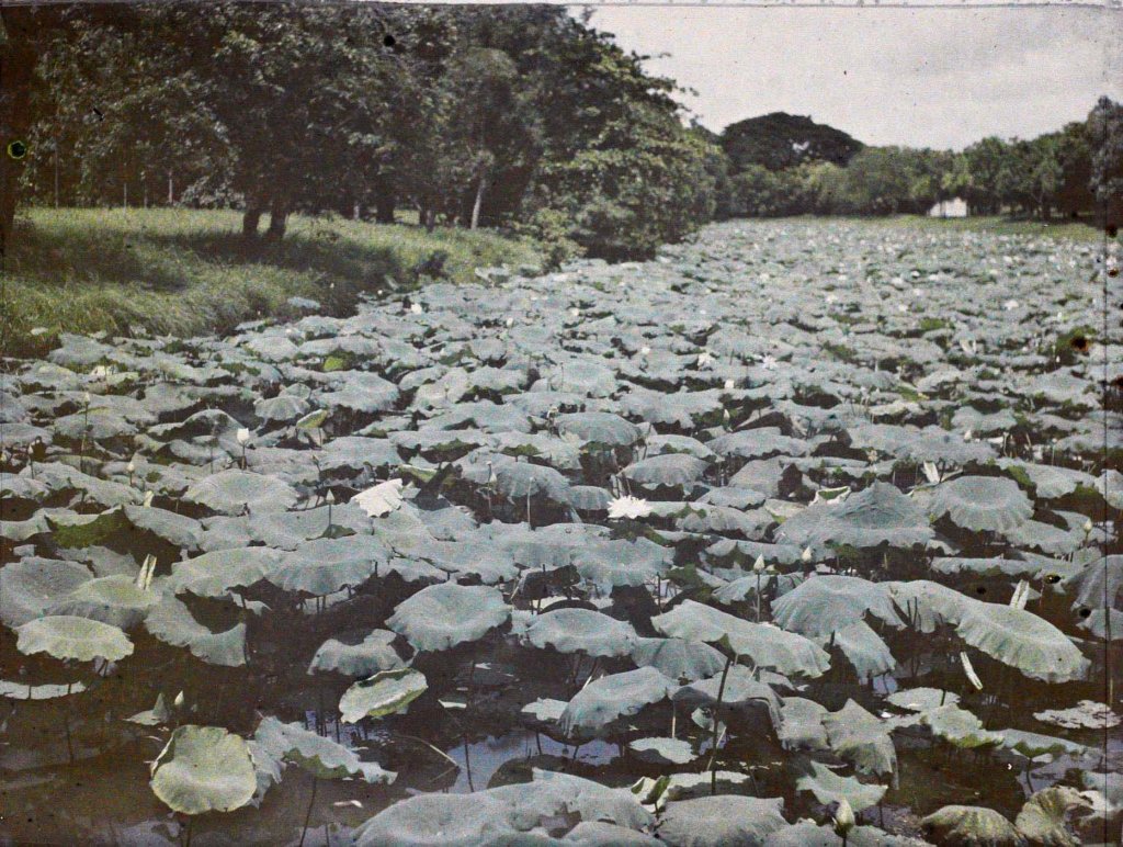 Việt Nam 1914-1917 Léon Busy (518).jpg