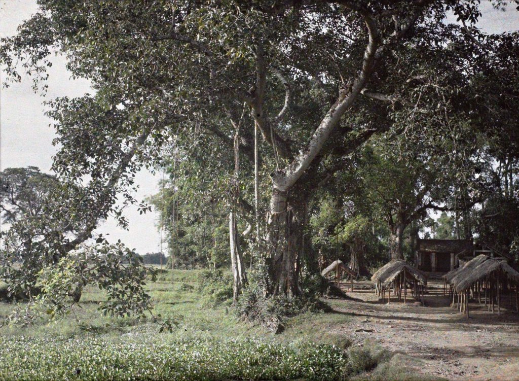 Việt Nam 1914-1917 Léon Busy (558).jpg