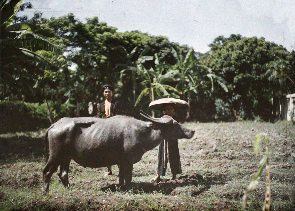 Việt Nam 1914-1917 Léon Busy (597).jpg