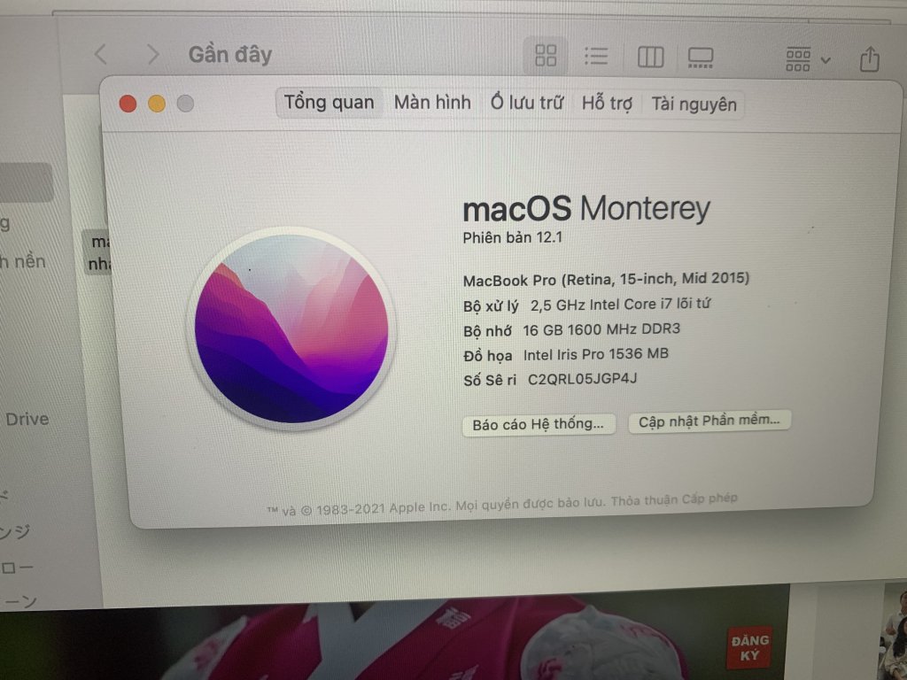 64C82D1A-0C02-4359-AE4E-F995A22CFCC2.jpeg