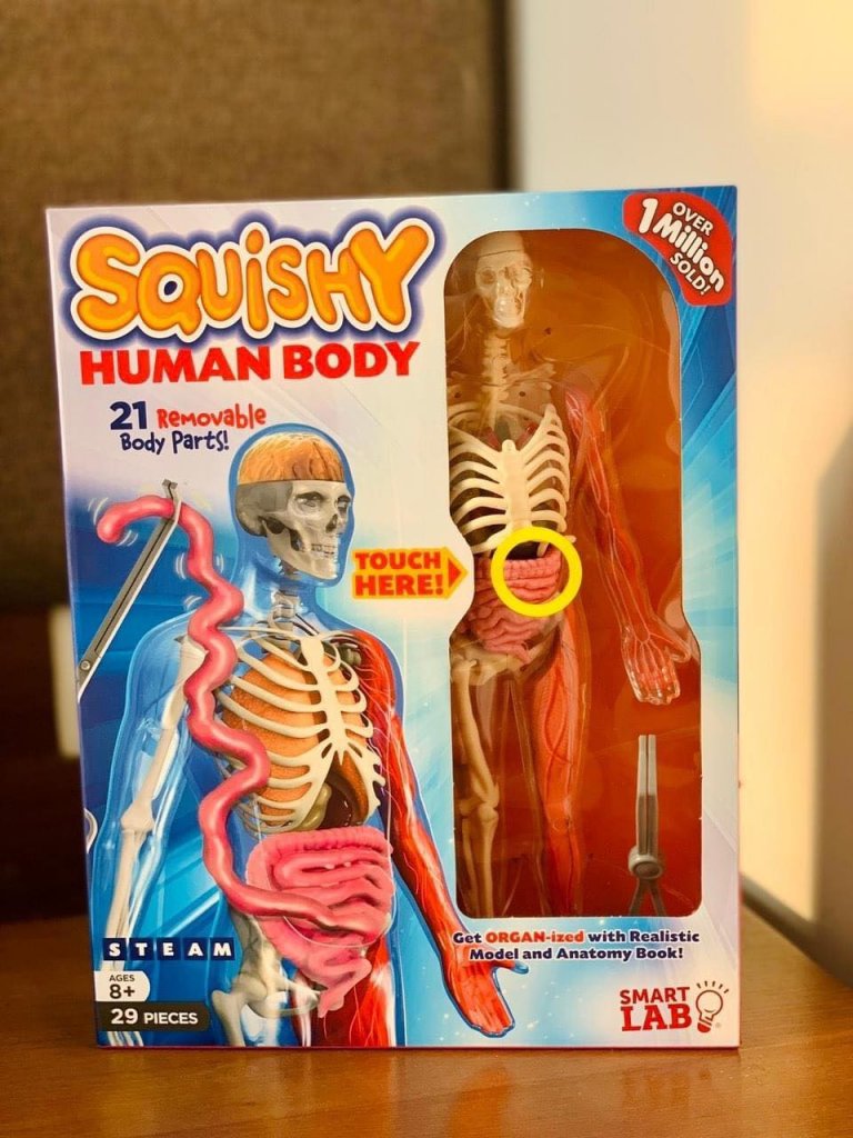 Mô hình giải phẫu cơ thể người Squishy Human Body SmartLab Toys19.jpeg