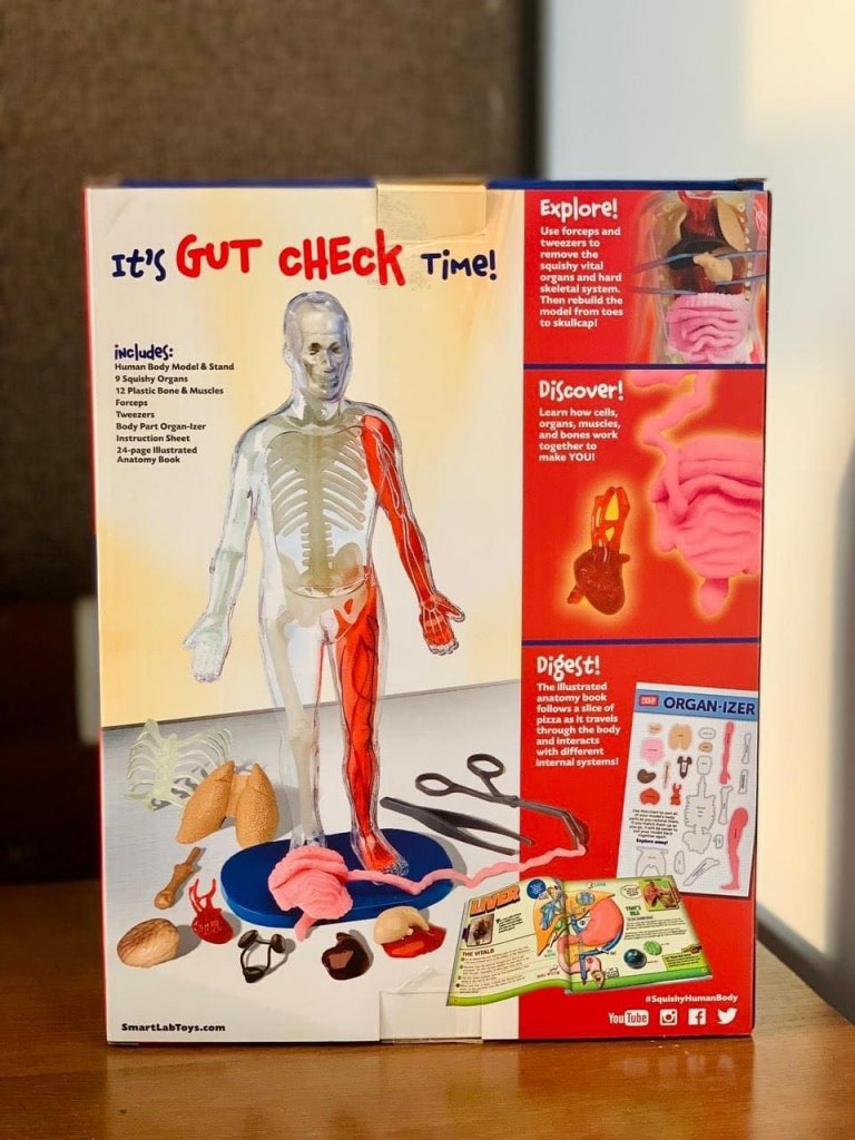 Mô hình giải phẫu cơ thể người Squishy Human Body SmartLab Toys24.jpeg