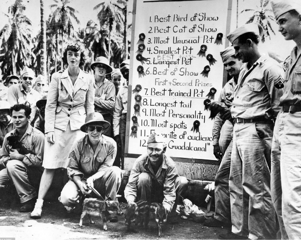 Solomon Islands 1943 (10).jpg