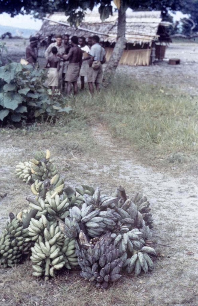 Solomon Islands 1943 (33).jpg