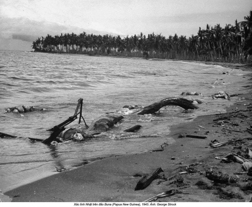 Papua New Guinea 1942_12_31 (14).jpg