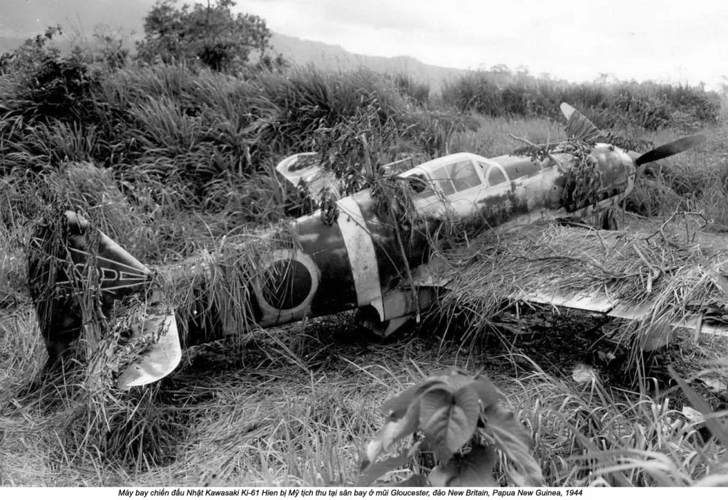 Papua New Guinea 1944 (1).jpg