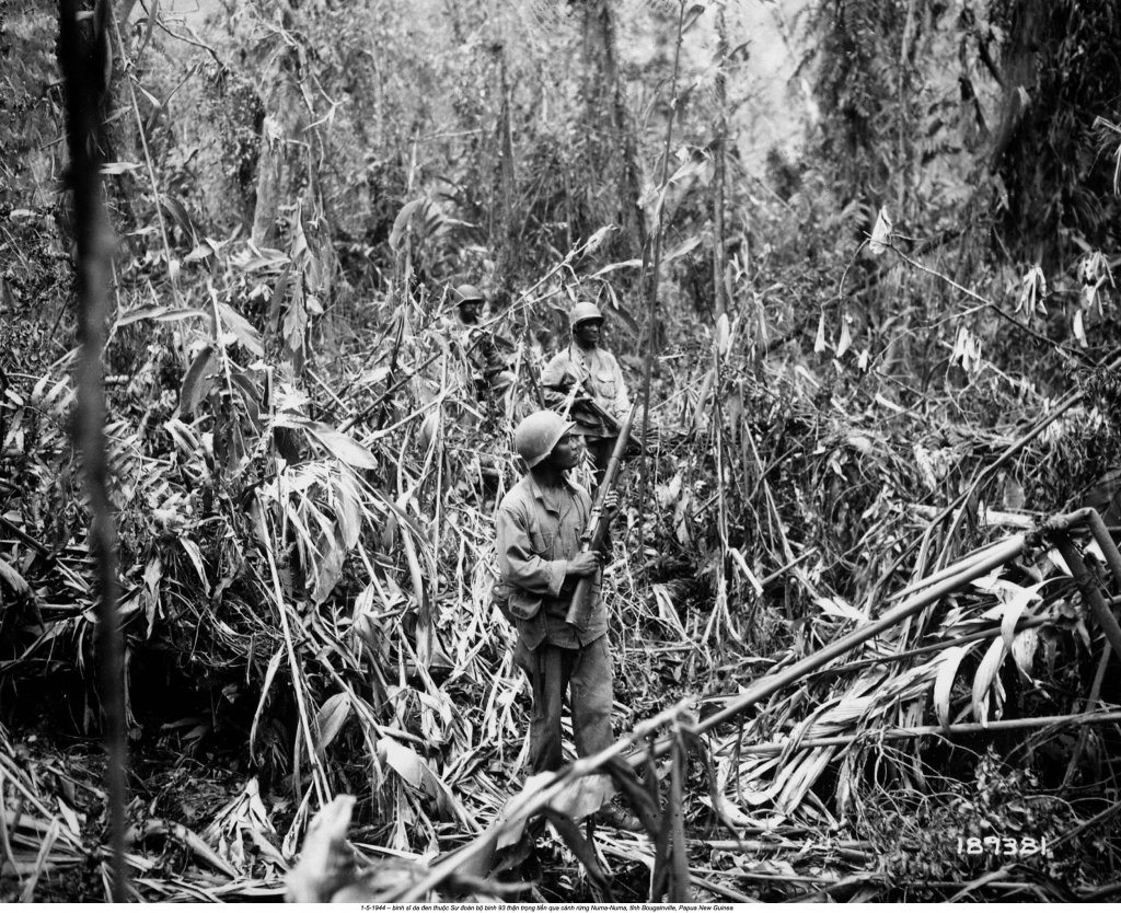 Papua New Guinea 1944_5_1 (4).jpg