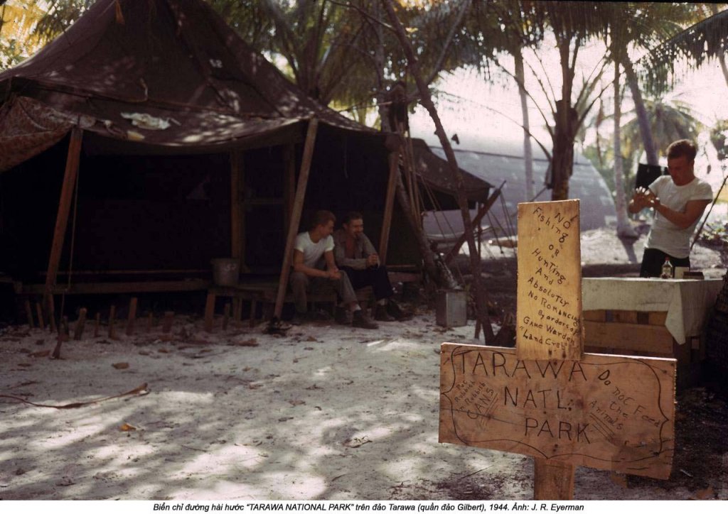 Gilbert Islands 1944_3 (23).jpg