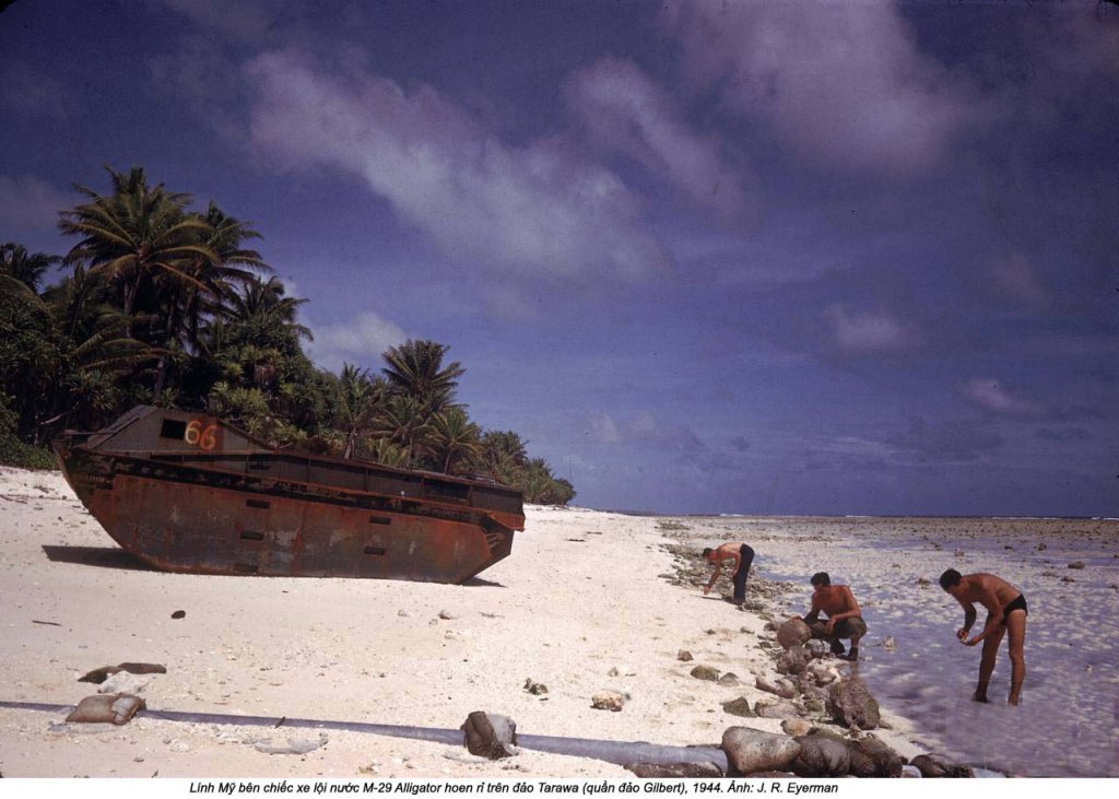 Gilbert Islands 1944_3 (29).jpg