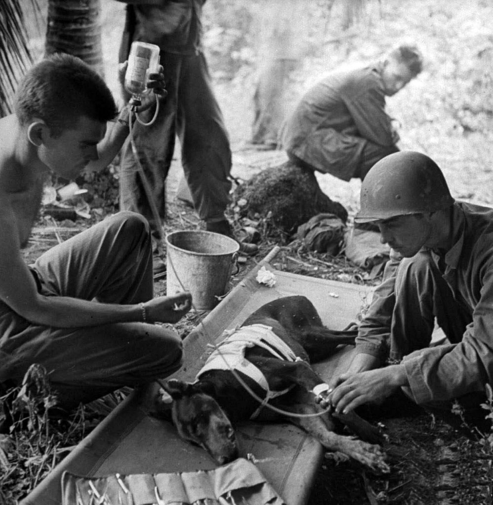 Guam 1944_7_20 (25).jpg