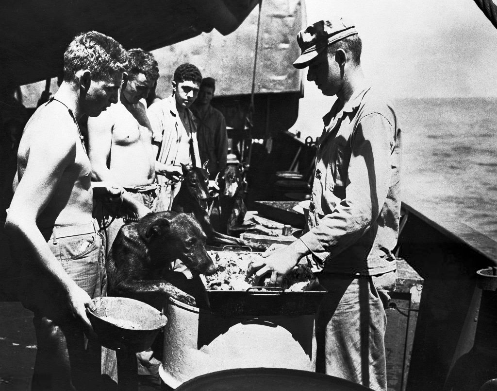 Guam 1944_8_5 (3).jpg