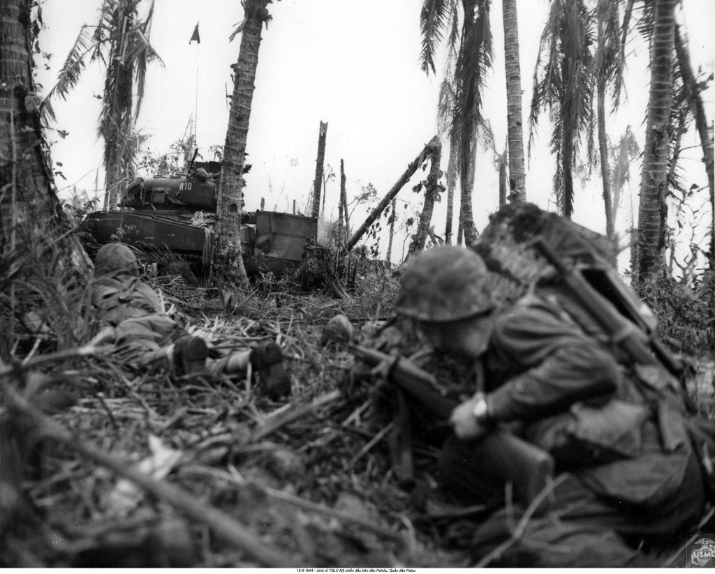 Palau, Peleliu 1944_9_15 (64).jpg