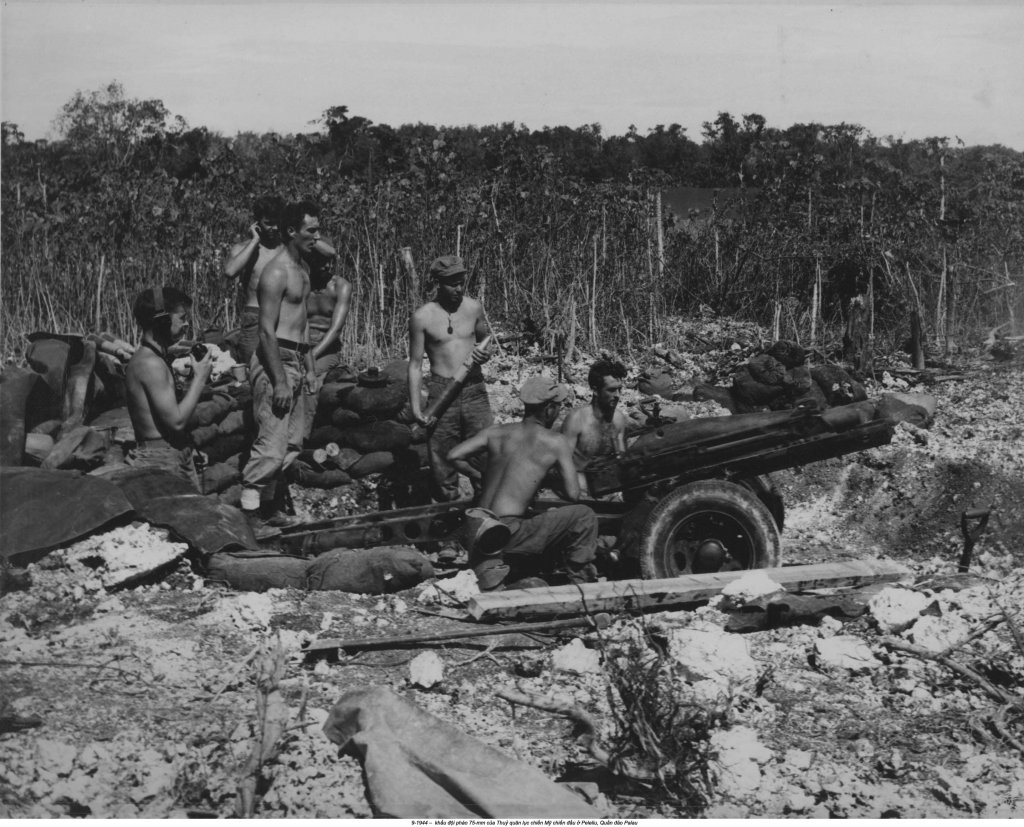 Palau, Peleliu 1944_9_15 (65).jpg