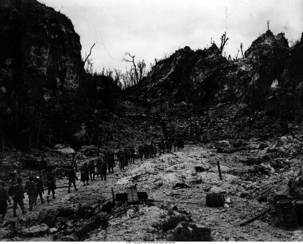 Palau, Peleliu 1944_9_15 (68).jpg