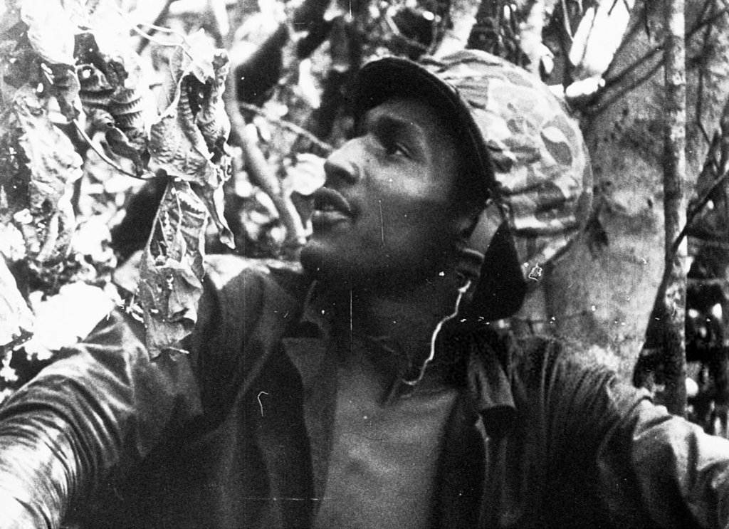 Palau, Peleliu 1944_9_15 (69).jpg