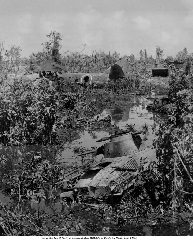 Palau, Peleliu 1944_9_27 (5).jpg