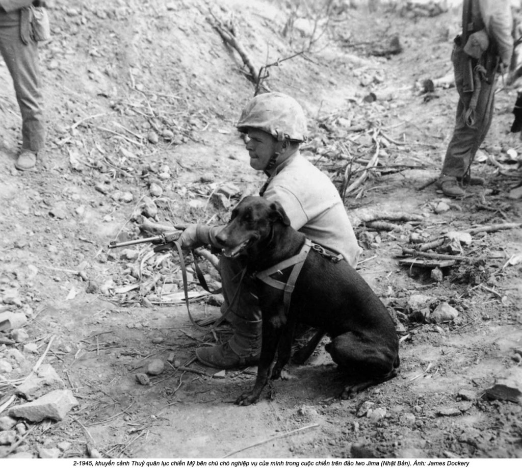 Iwo Jima 1945_2_x (75).jpg