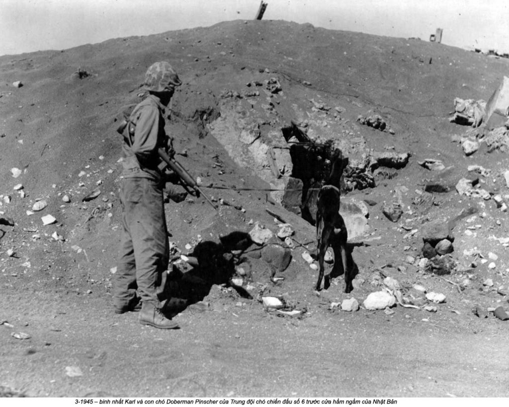 Iwo Jima 1945_3 (16).jpg